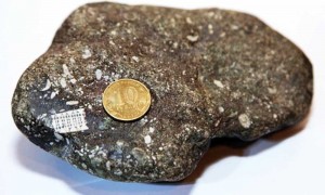Microchip-Stone