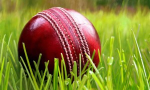 cricket-ball