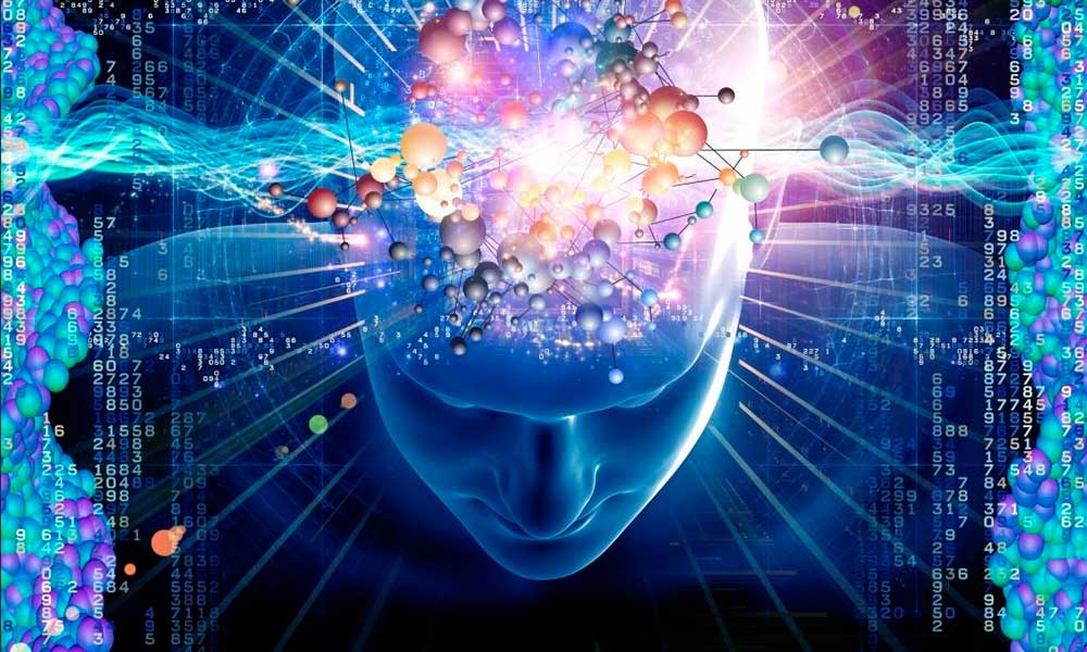 consciousness-brain-mind
