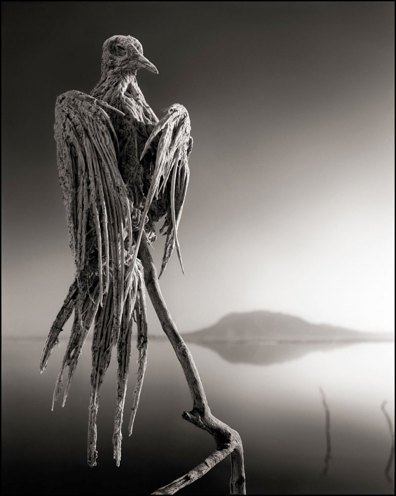 lake natron