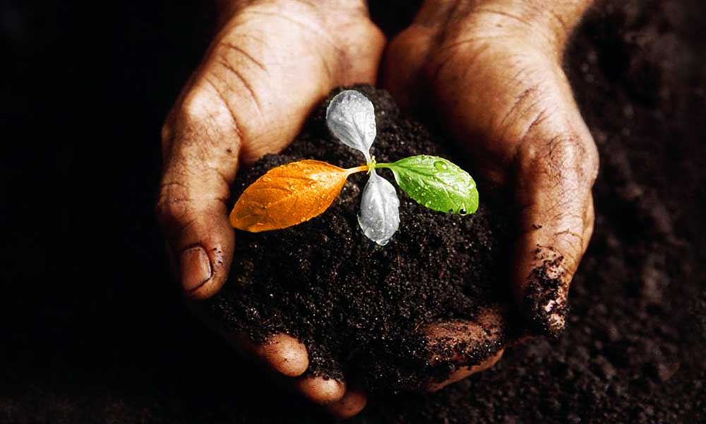 the story of naming india