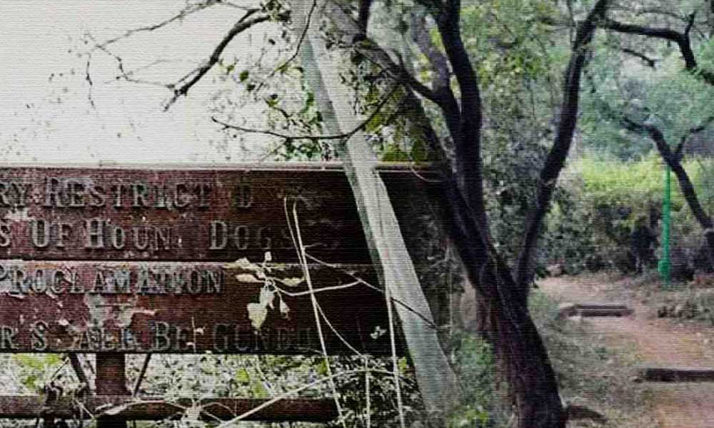 भुतिया महल