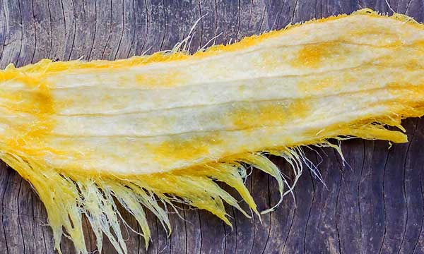 mango-seeds-for-hair