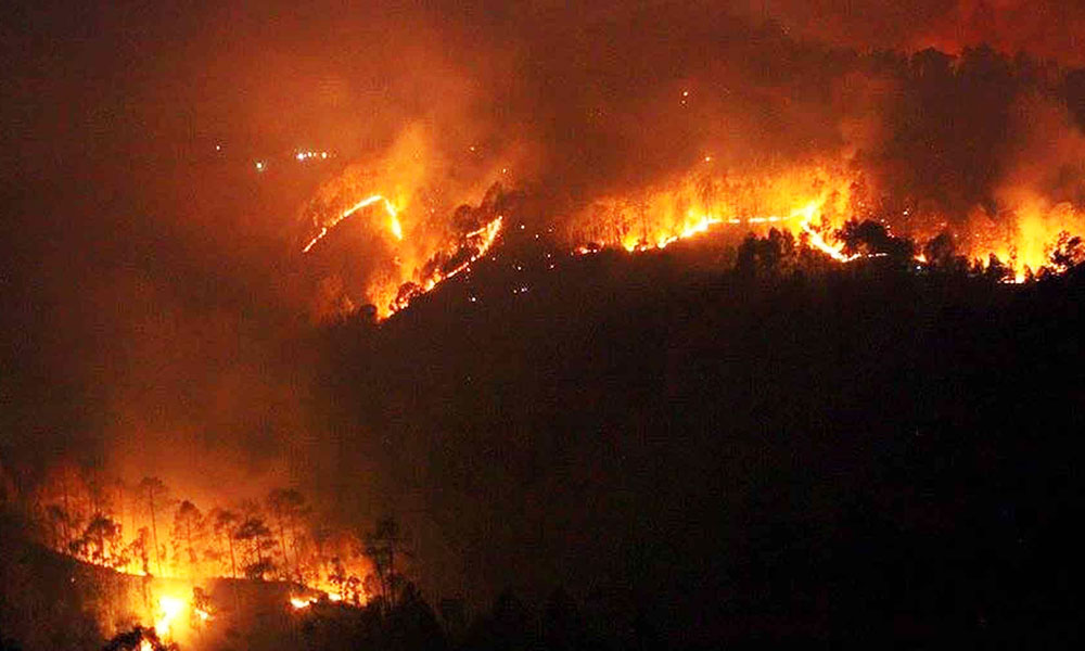 उतराखंड के जंगलों में लगी आग