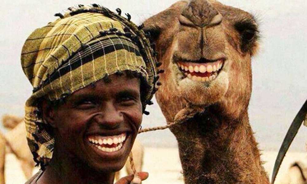 फनी फोटो