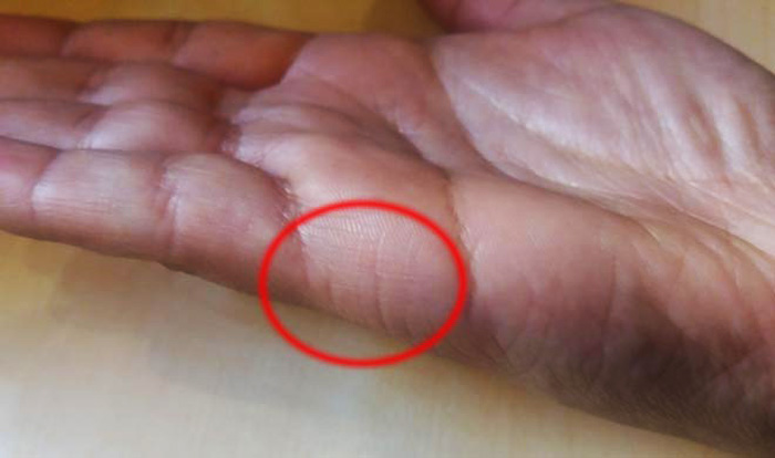 हाथों की लकीरों