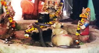 इस अनोखे शिव मंदिर में नाग देवता करते हैं शिव की प्रथम पूजा!