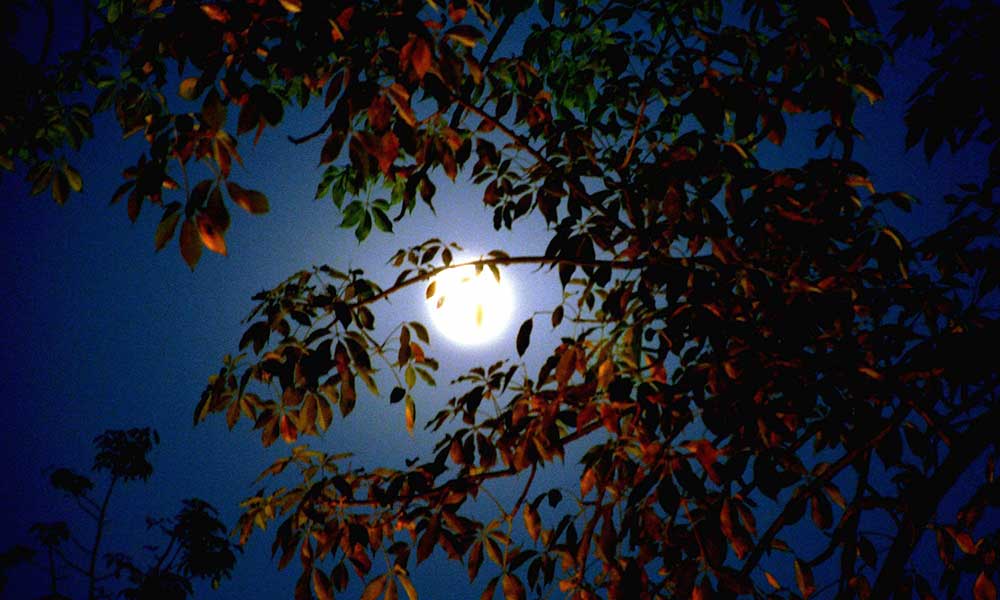 पूर्णिमा के दिन