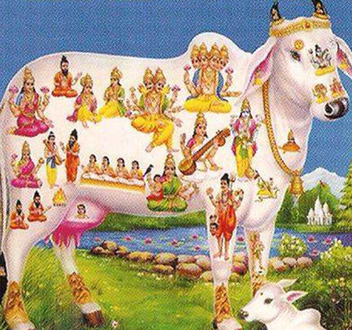 सावन के महीने के चमत्कारी उपाय