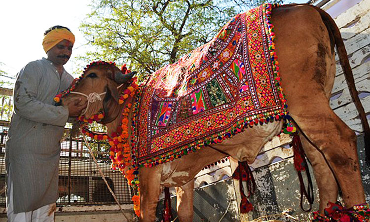 भगवान बुद्ध