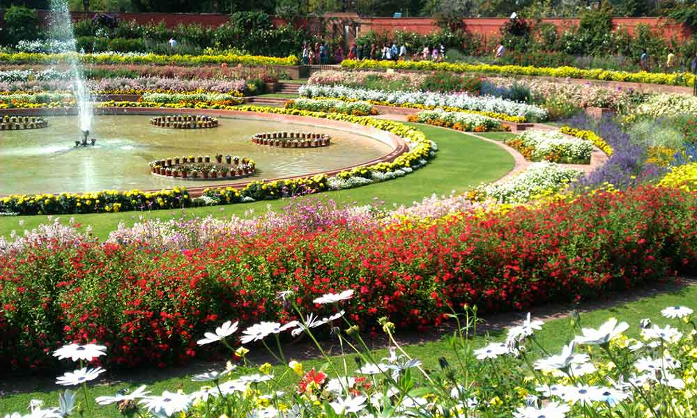 दिल्ली के बदनाम पार्क