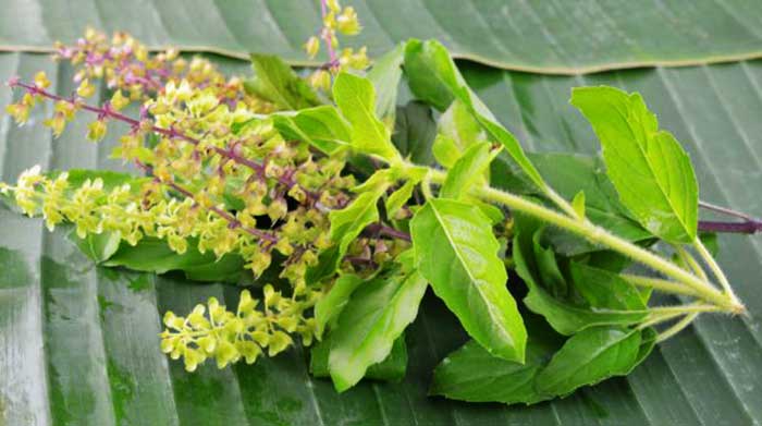 वायरल बुखार