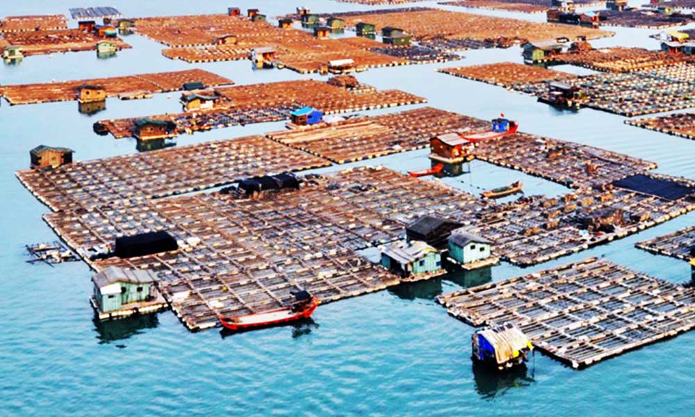 समंदर पर बसा हुआ गाँव