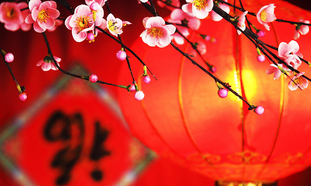 चाइना के सामान के विकल्प