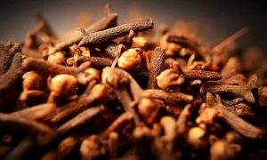 लौंग का उपयोग