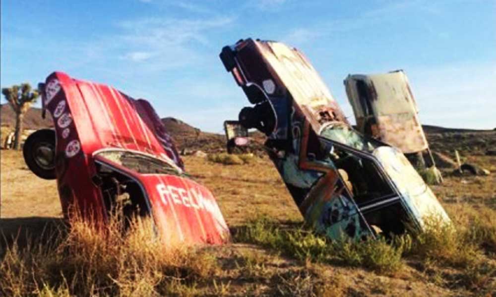 कारों की खेती