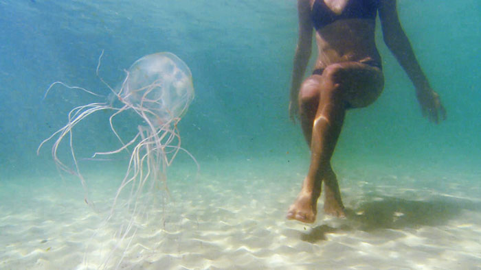 खतरनाक मछलियाँ