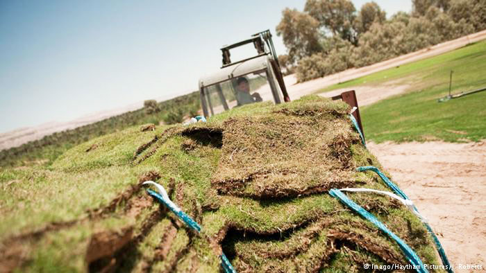 अजीबो-गरीब डिग्रियाँ