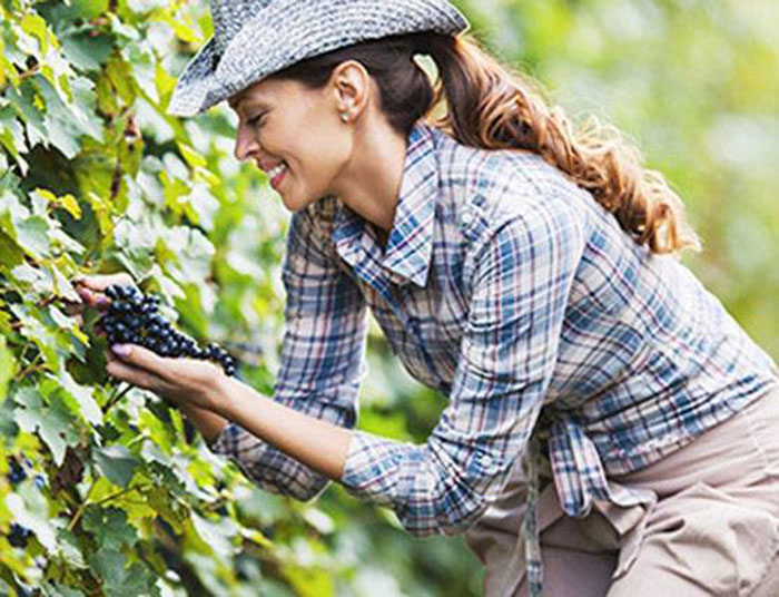 अजीबो-गरीब डिग्रियाँ