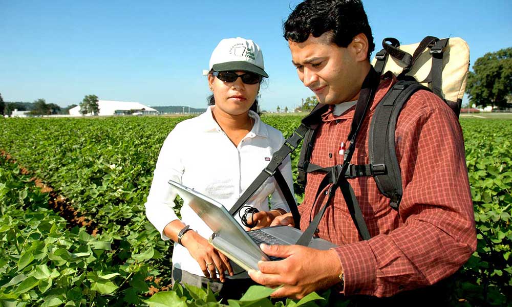 कृषि क्षेत्र में करियर
