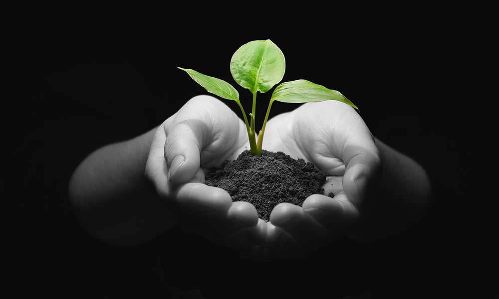 सरकार की ओर से स्टार्टअप को दी जानेवाली सुविधाएं