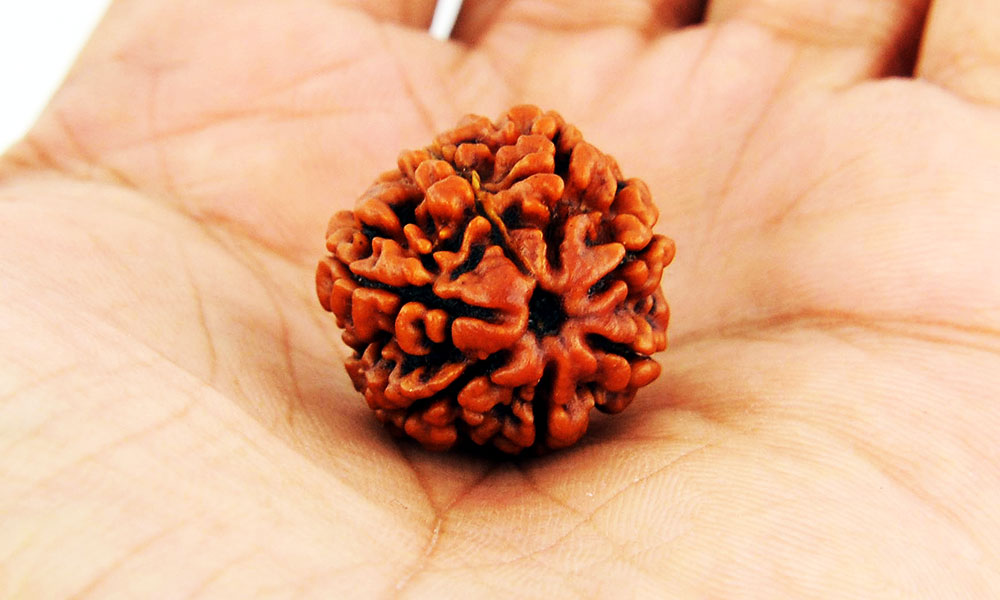 रुद्राक्ष की शक्ति