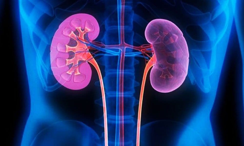 गलतियाँ जो किडनी के लिए घातक है