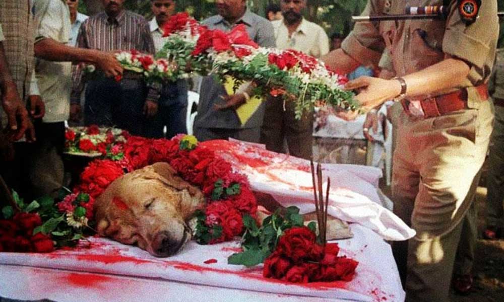 कुत्ते को श्रद्धांजलि