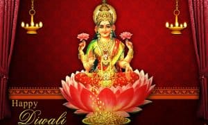 दीपावली के अवसर पर की सफाई