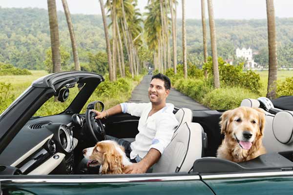 क्रिकेटर्स जिन्हें कुत्तों से बहुत प्यार हैं