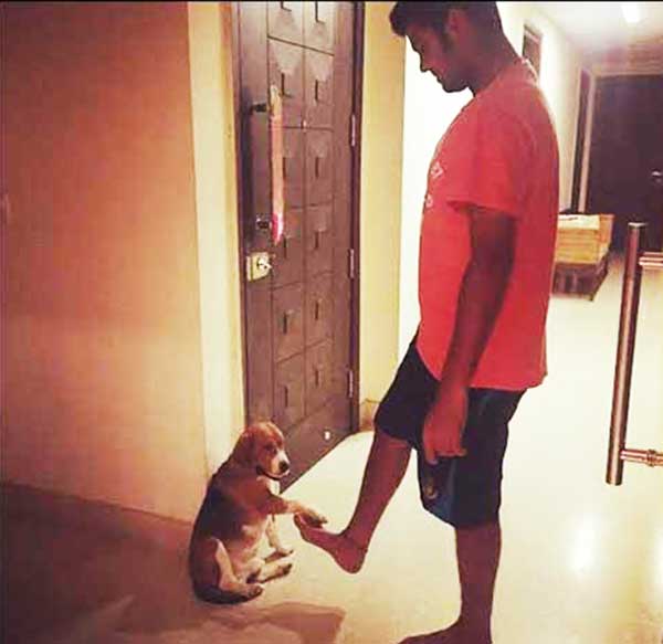 क्रिकेटर्स जिन्हें कुत्तों से बहुत प्यार हैं