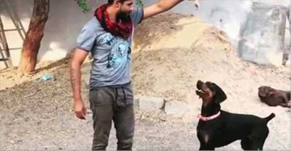 क्रिकेटर्स जिन्हें कुत्तों से बहुत प्यार हैं