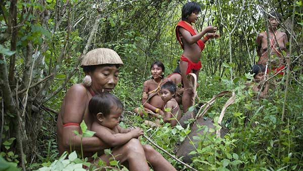 यानोमामी समुदाय