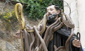 स्नेक फेस्टिवल