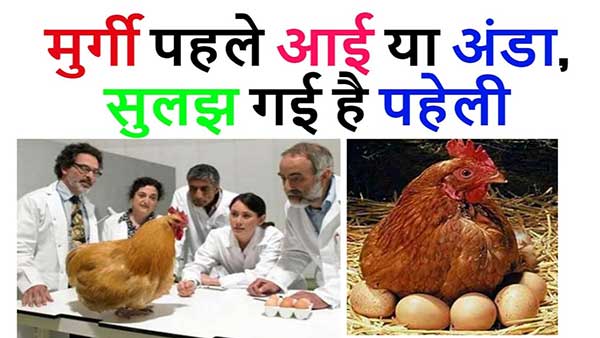 अंडा पहले आया या मुर्गी