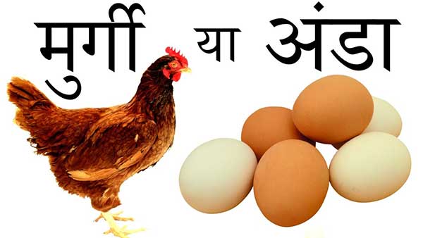 अंडा पहले आया या मुर्गी