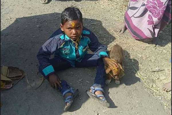 बच्चे की हुई कुतिया से शादी