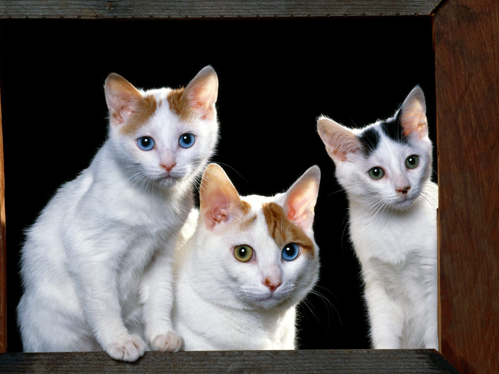 अच्छे समय के संकेत