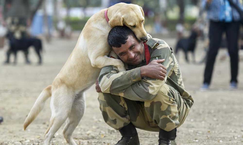 सेना का कुत्ता रिटायरमेंट के बाद मार दिया जाता है