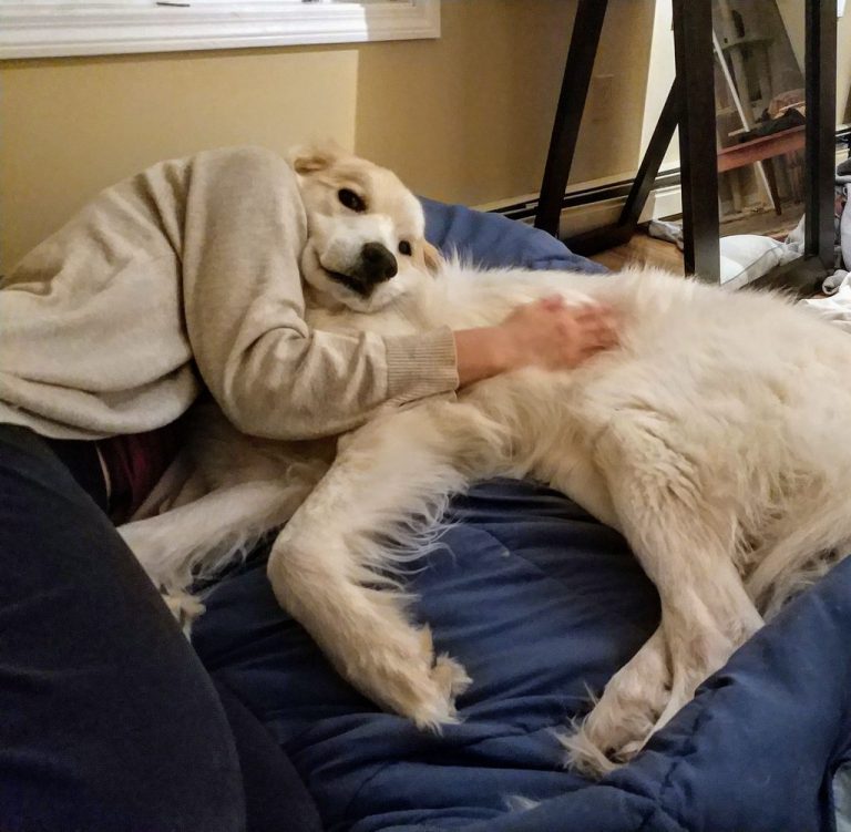 अजीब तसवीरें