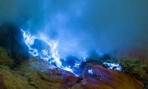 खतरों का खिलाडी