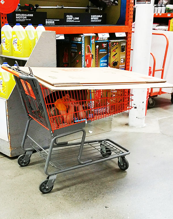 पिता और बच्चे