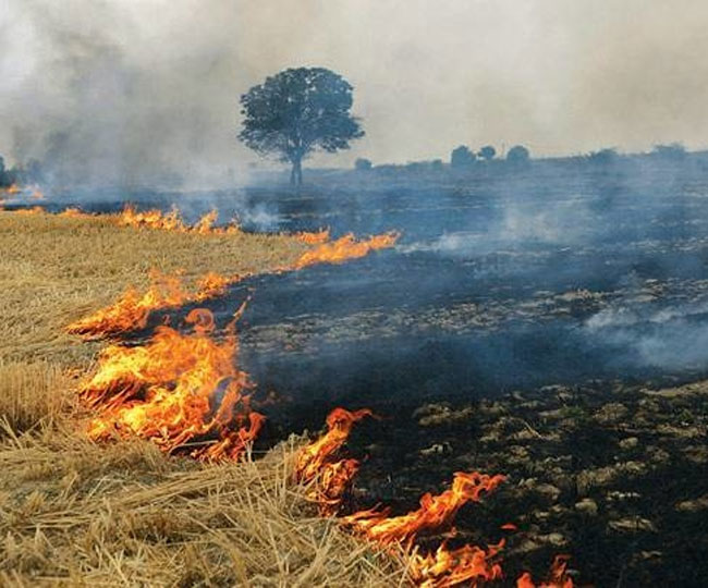 भारत की हवा