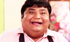 डॉक्टर हाथी