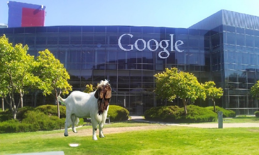 गूगल की ऑफिस में नौकरी