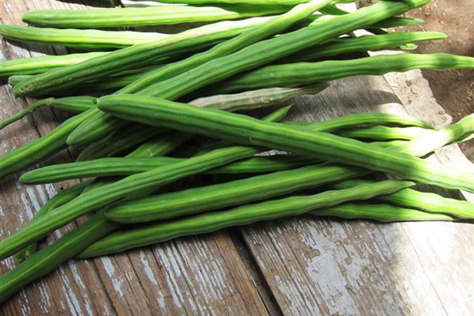 सबसे पोषक आहार