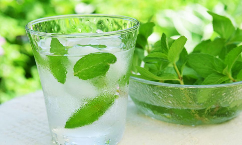 पुदीने का पानी