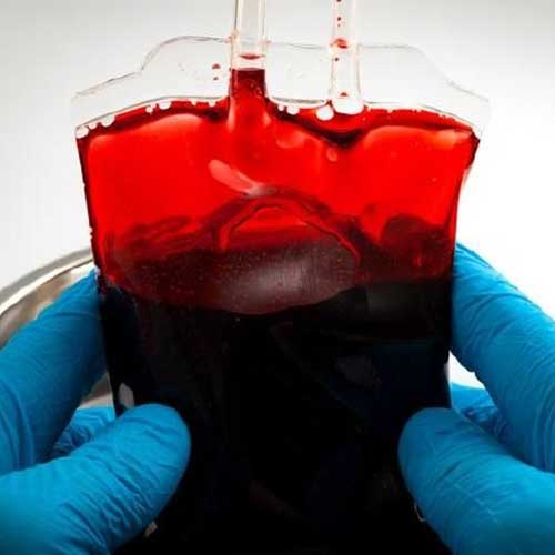 खून चुसवा गैंग