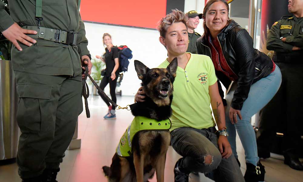 कुत्ते का मर्डर