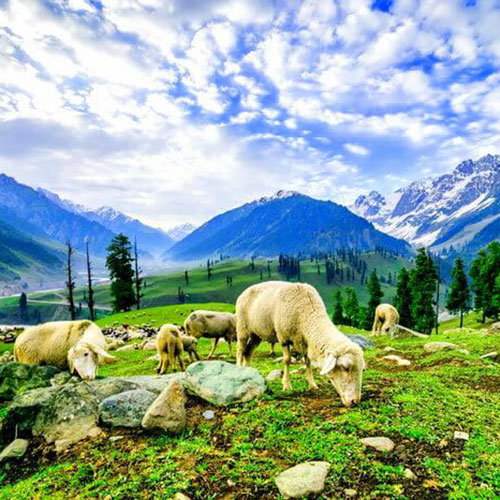 जम्मु और कश्मीर